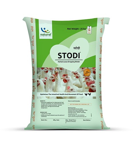 Stodi 