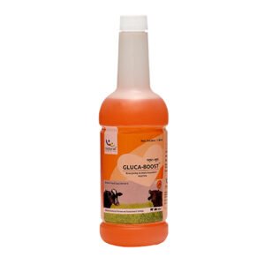 GLUCA-BOOST: Feed supplement for ruminants animals