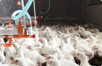 Research & Development