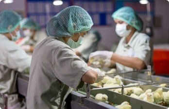 Research & Development