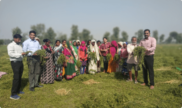 Training and capacity building of tribal communities for better livelihood