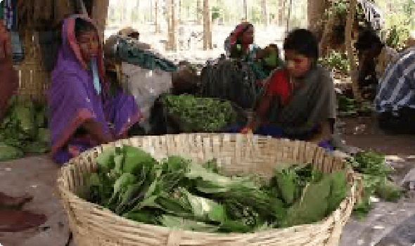 Championing rural girls and women’s education