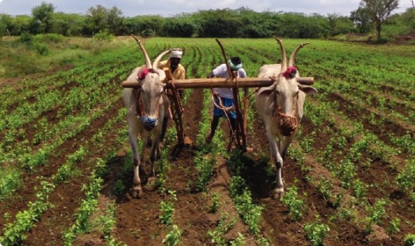 Commitment to sustainability