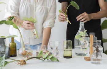 Research & Development